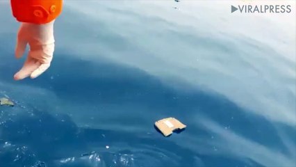 Lion Air Crash Rescuers Find Debris In Sea