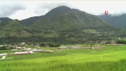 Nepal'de Son Üç Ayda En Az 876 Çocuk Kayboldu