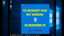 Microsoft Edge Not Working/Not Opening Properly in Windows 10? 1-866-379-1999