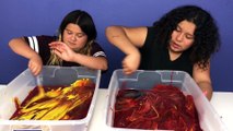 Don’t Choose the Wrong KETCHUP VS MUSTARD Slime Challenge