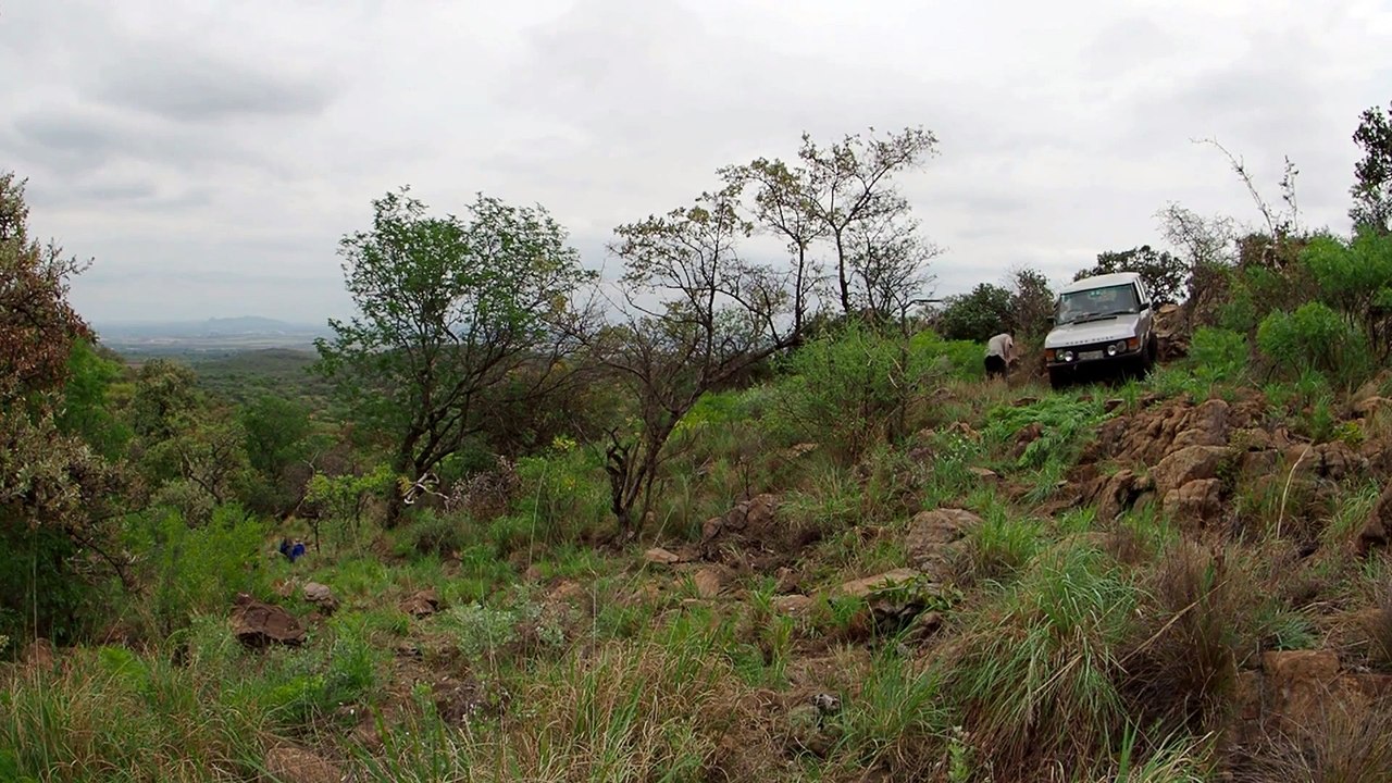 De Wildt 4x4 -Brandpad- - Range Rover Classic