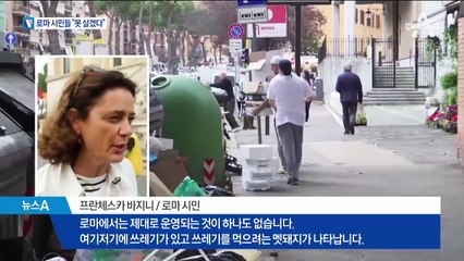로마 뒤덮은 쓰레기·멧돼지 점령…도대체 왜?