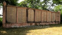 Human-created wetland for birds- Bharatpur Bird Sanctuary was once a hunting preserve