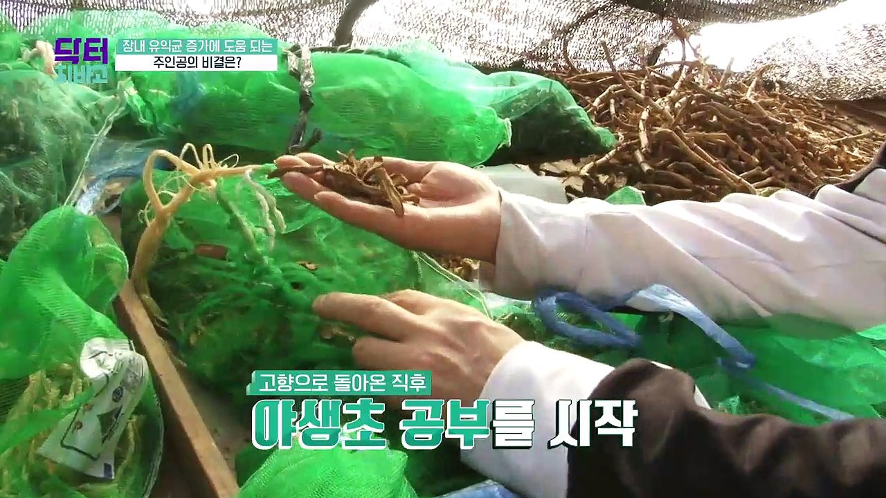 장내 유익균 증가에 도움 되는 주인공의 비결은?