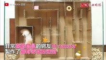 治癒！網友自製倉鼠迷宮 沒想到最後牠這樣破解？