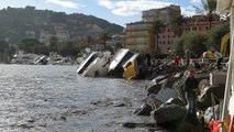Italia flagellata dal maltempo: alberi caduti causano diversi morti