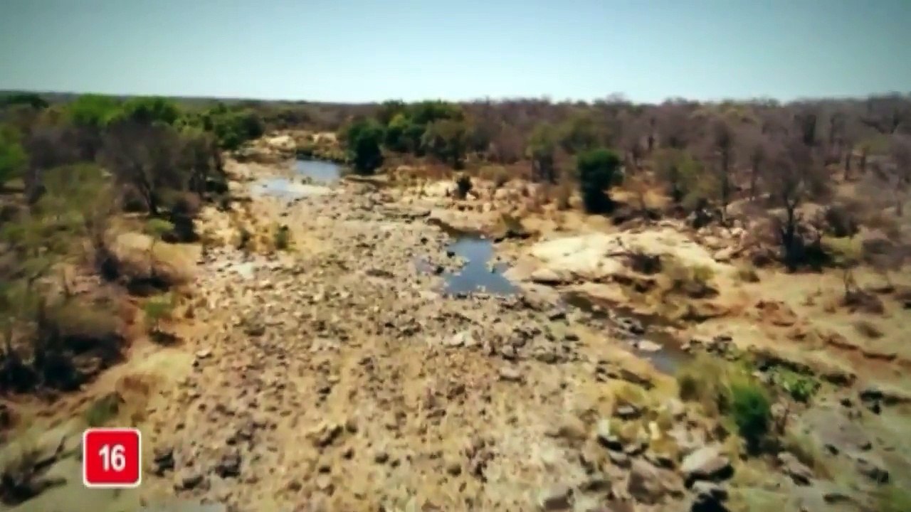 Largados e Pelados - 7° Temporada 2019 - Discovery Channel Brasil 2020