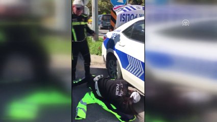 Polis aracının tekerine sıkışan yavru kedi kurtarıldı - MUĞLA