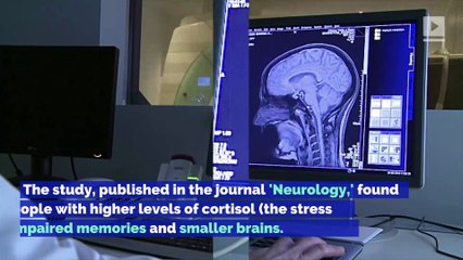Stressed-out People May Have Smaller Brains, Says Study