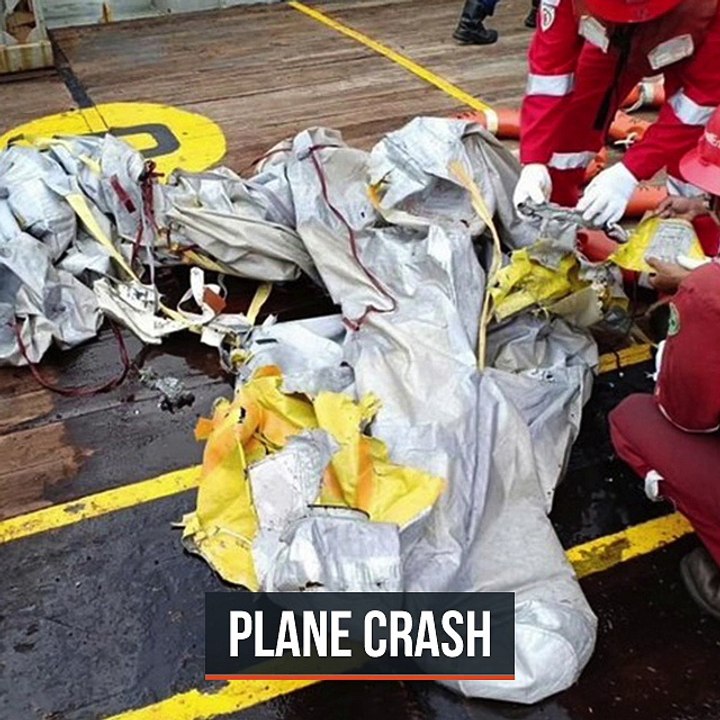 Indonesian Lion Air plane crashes into sea with...