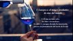 8 curiosidades del vino según José Elarba