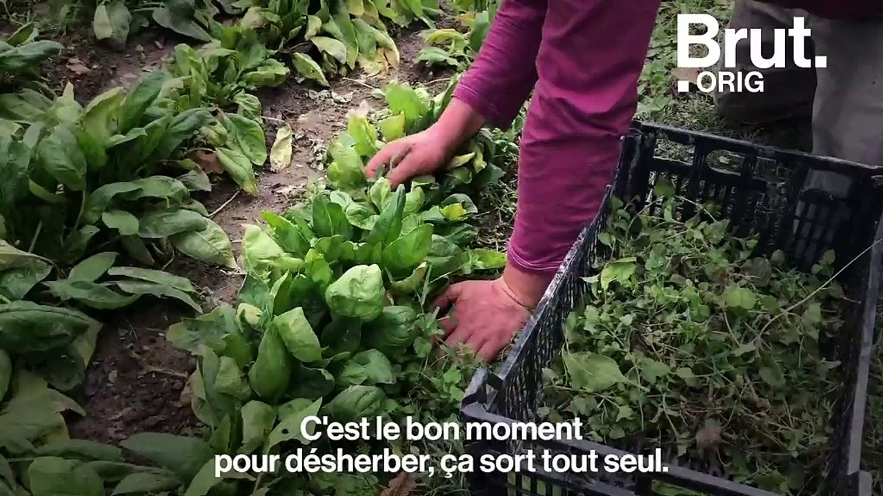 Emmaüs Lescar-Pau, un village autonome au service de sa communauté