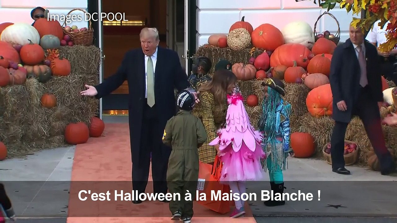Distribution de bonbons pour Trump et Melania pour Halloween