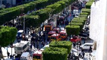 Nine people wounded in Tunis suicide bomb attack