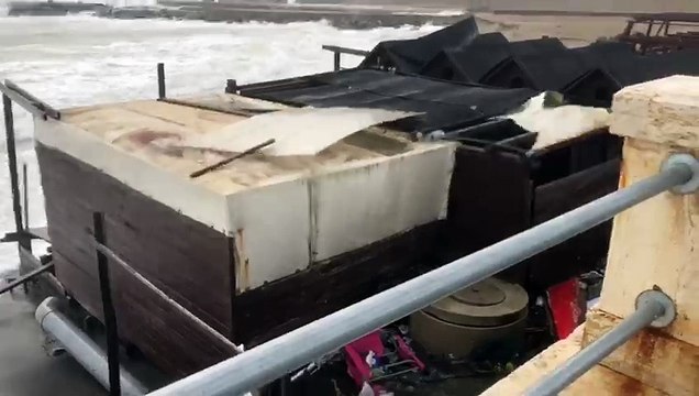 Maltempo, danni in tutto il X Municipio. Alberi crollati, muri ceduti e stabilimenti danneggiati dalle mareggiate