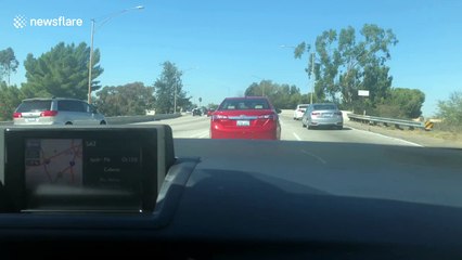 Too far? 'Dead body' Halloween mannequin terrifies LA drivers