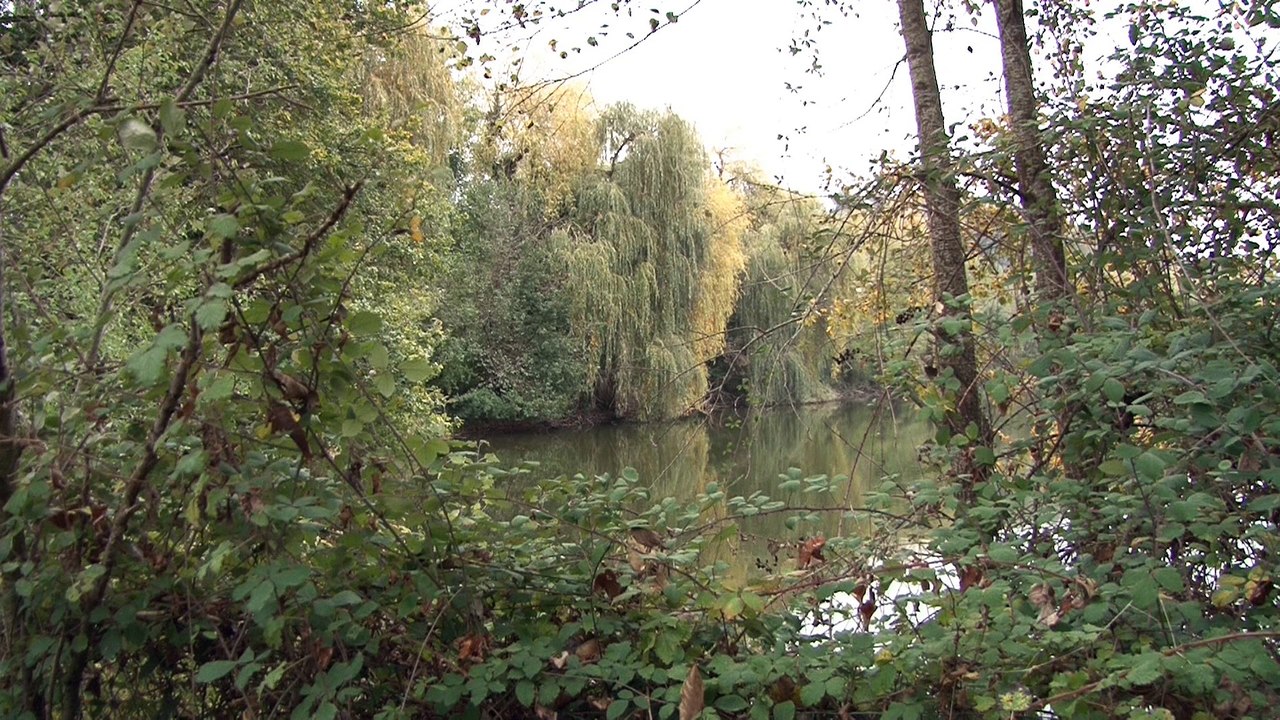 Le Parc animalier château de Moidière film by Ciné Art Loisir