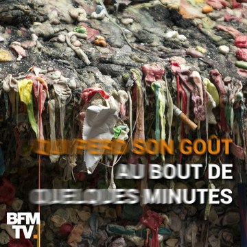 Ce chewing-gum promet un goût éternel