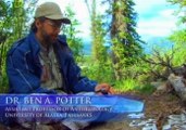 Mindennapi Tudomány - 0701 Surviving Ancient Alaska
