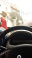 Faire peur à un chat sur une voiture (Instant Karma)