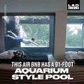 Cette villa en location sur airbnb a une piscine-aquarium de 30m de long... Le rêve