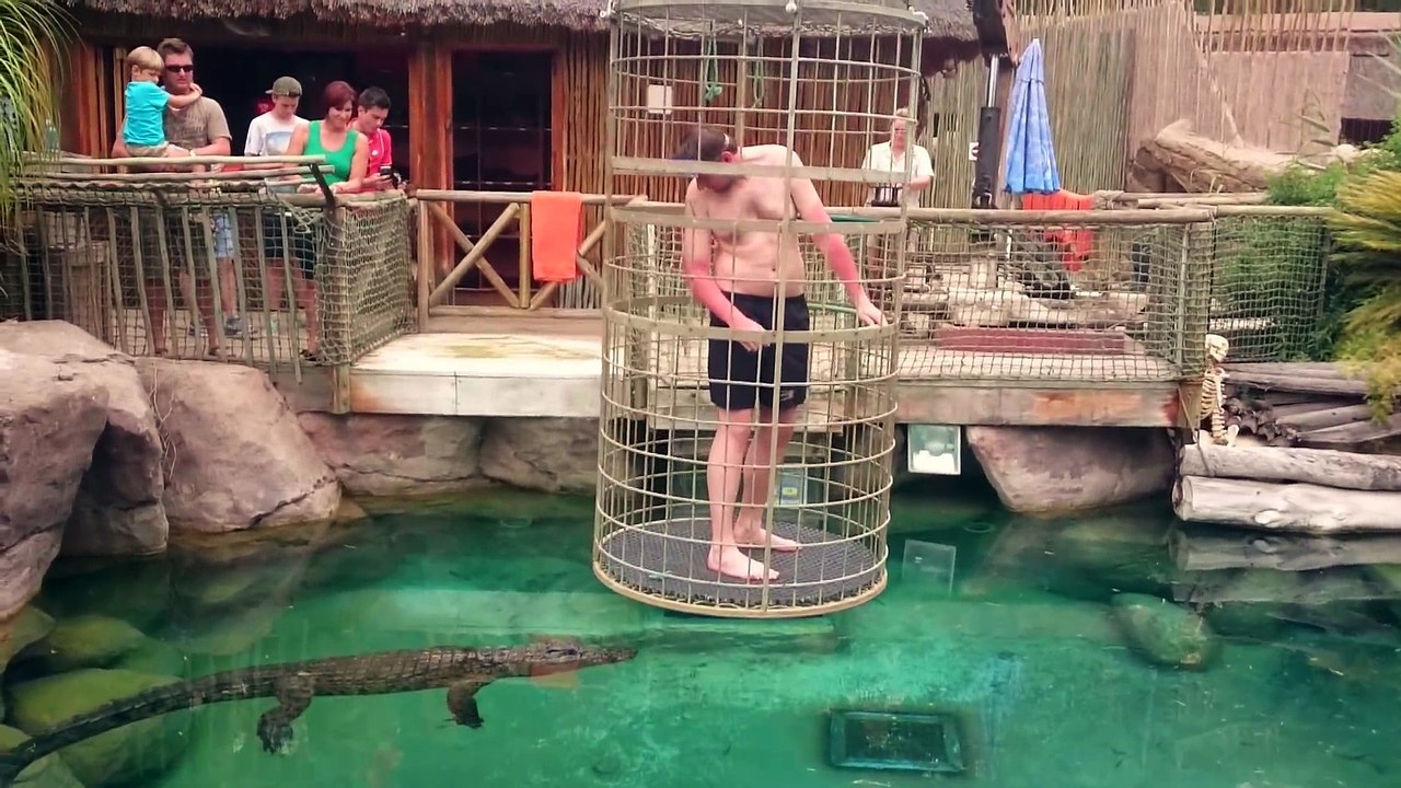 Plonger dans une piscine avec des crocodiles, il va vivre une experience incroyable