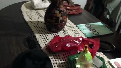 Snapchat de Viagem  Santa Catarina - Dia 3 e 4