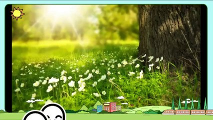 Descargue aquí Prezi Desktop 6.12 + Crack (Full) + Tutorial de Instalación