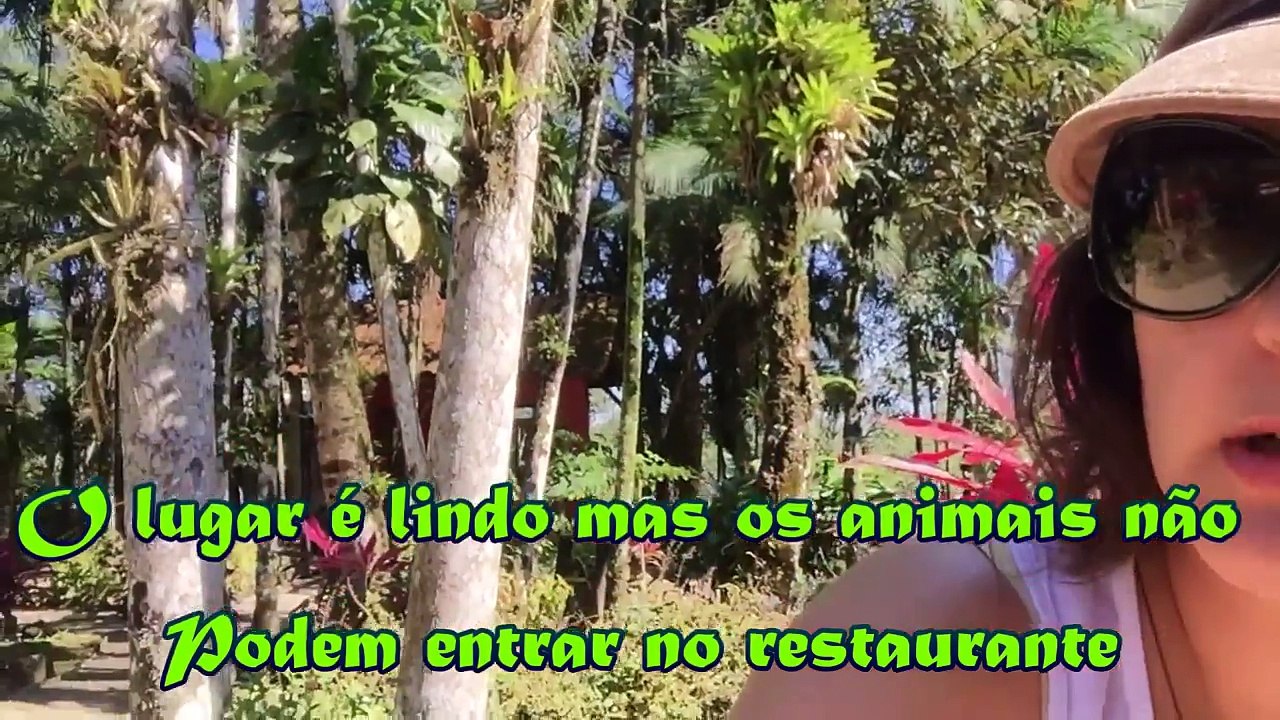 Vem Comigo ☼ Cabaraquara Mata Atlântica