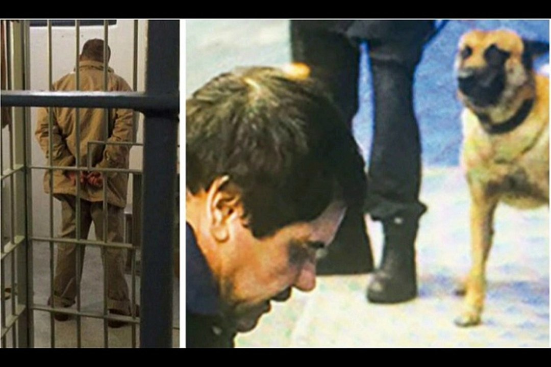 No he visto la luz del sol en 2 años’, la  carta de El Chapo Guzmán