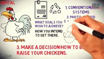 How to Start Chicken Farm Business - Organic Broiler Poultry Farming of Chickens & Goats