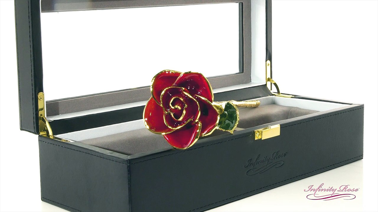 Infinity Rose