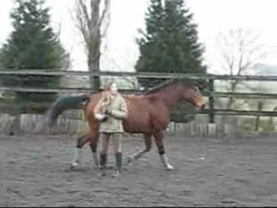 Séancedecembre