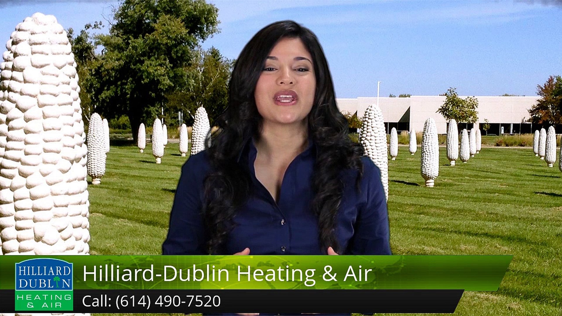 Hilliard-Dublin Heating & Air | Excellent 5 Star Review by Kelli P | Dublin  Ohio AC Repair - video Dailymotion