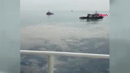 Endonezya'da Yolcu Uçağının Denize Düşmesi