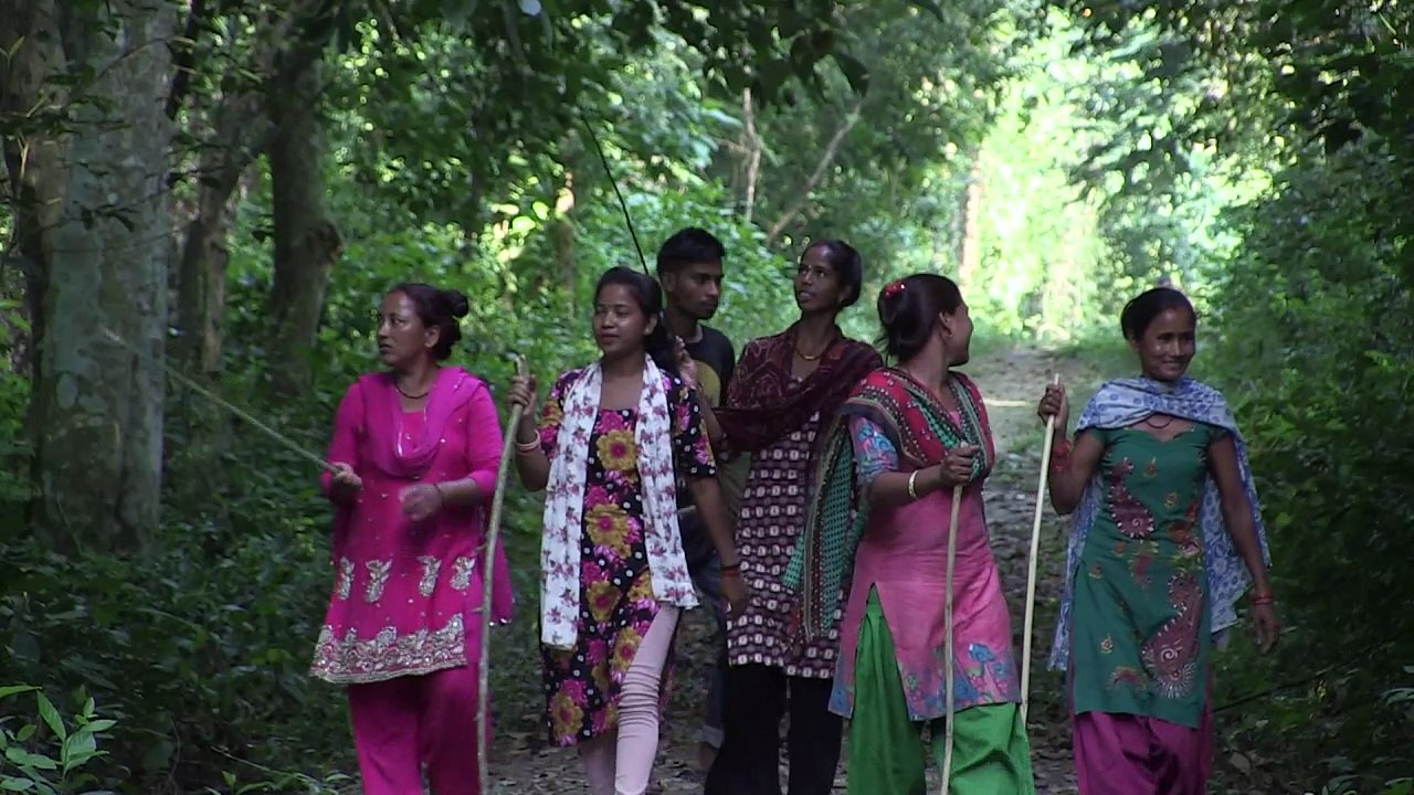 Crouching tigers, hidden cameras: Nepal counts its big cats