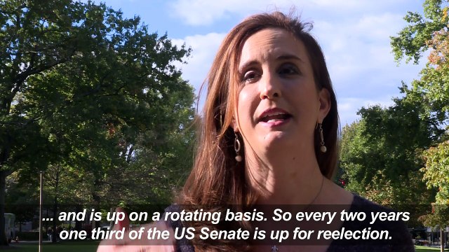 US Midterms 101: Going back to basics