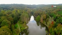 Sonbaharın Renklerine Bürünen Atatürk Arboretumu Havadan Görüntülendi