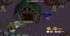Animal Crossing (Gamecube) - Fight between friends