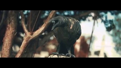 Bali Baby Resurrection Intro (WSHH Exclusive - Official Music Video)