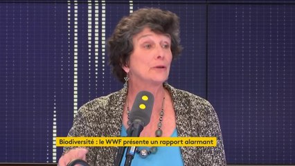 "Tout ce qu'on va pouvoir sauver, ce sera gagné, comme pour le climat (...) faut pas se poser de questions, il faut y aller" affirme Isabelle Autissier (WWF France)