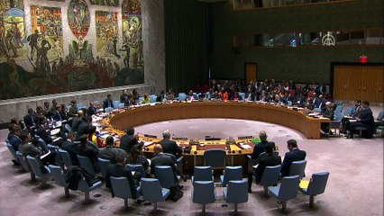 BM'den İdlib ateşkesinin korunması çağrısı - NEW YORK