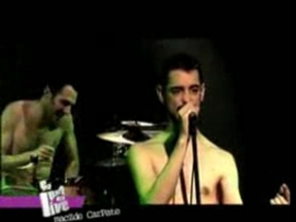 "Combat de coqs" - maczde carpate