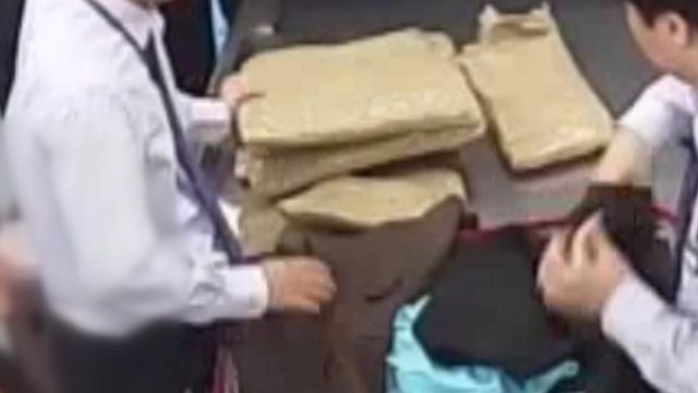 여행용 가방에 대마초 18kg...'남아공 루트' 부활 / YTN