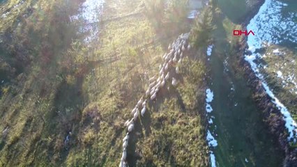 Ordu Orduyaylalarda Kartpostallık Sonbahar ve Kar Manzaral