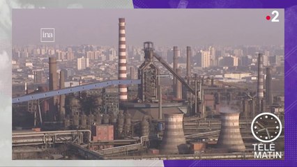 Actu plus – WWF s'inquiète d'une disparition de masse des vertébrés