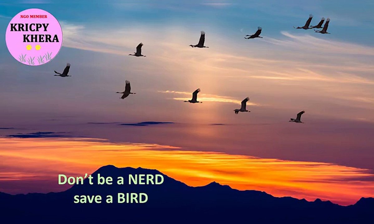 Kricpy Khera - Say No To Hunting The Birds