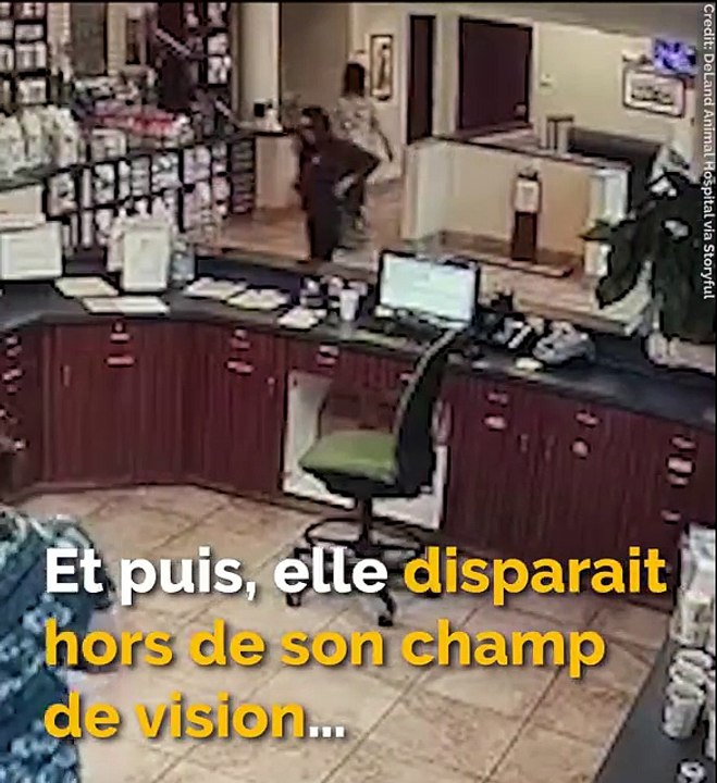 femme-sequestree-message-veterinaire