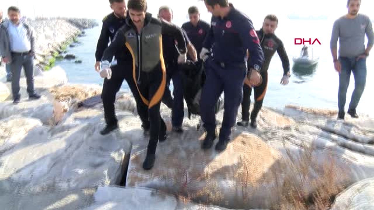 İstanbul- Yenikapı Sahilde Erkek Cesedi Bulundu