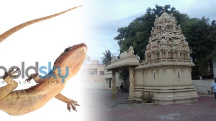 ಹಲ್ಲಿ ನಿಮ್ಮ ಮೈ ಮೇಲೆ ಬಿದ್ದರೆ ಈ ದೇವಸ್ಥಾನಕ್ಕೆ ಹೋಗಿ | ದೋಷ ಪರಿಹಾರವಾಗುತ್ತೆ  | Oneindia Kannada